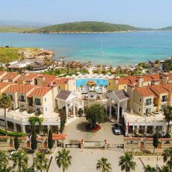 Cocos The Club Solto